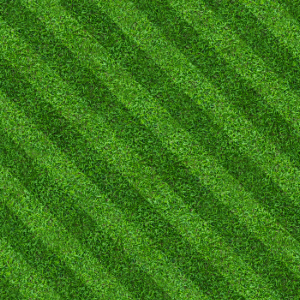 Thick green lawn with clean stripes from professional lawn care
